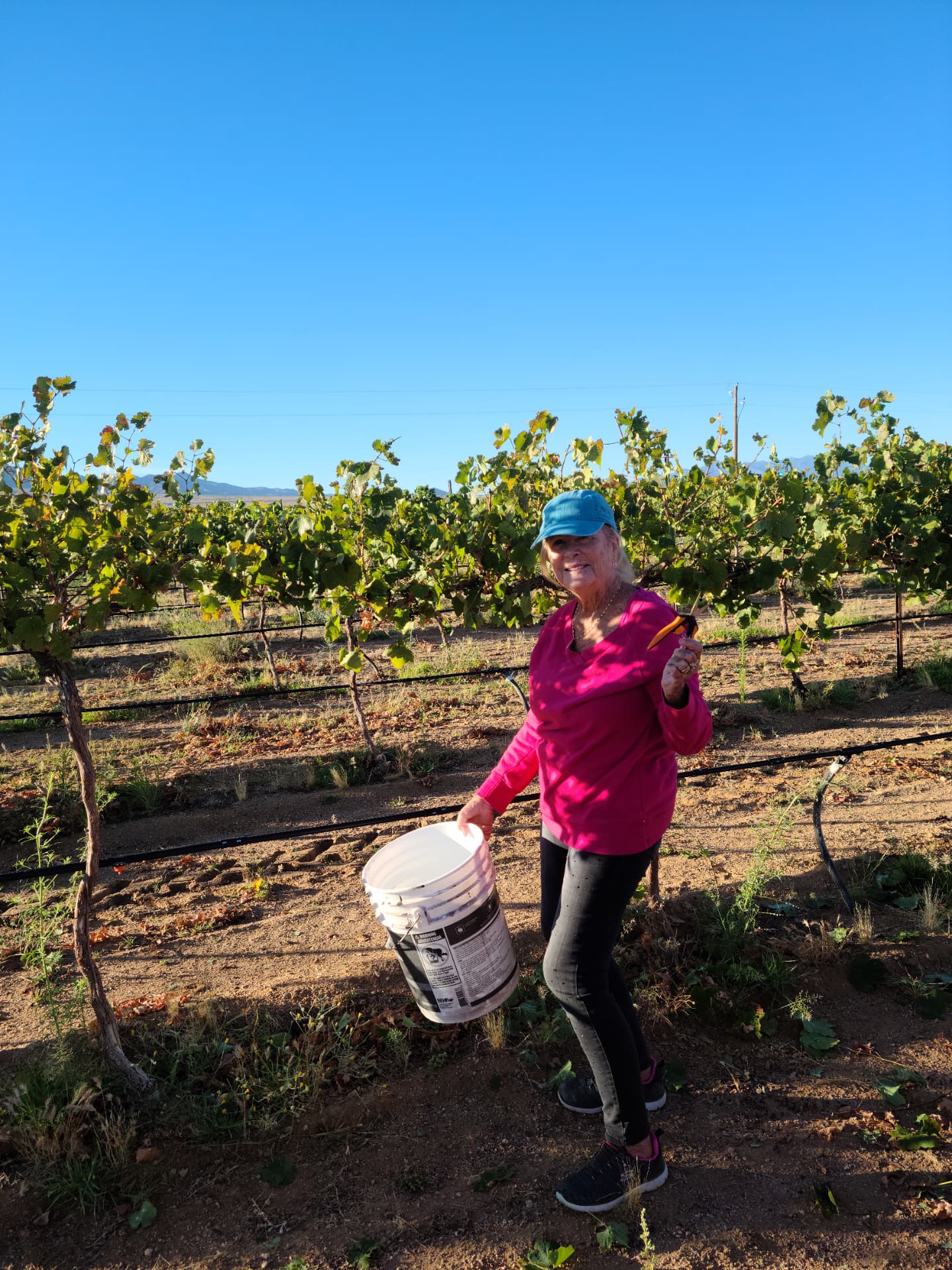 Picking bucket in hand