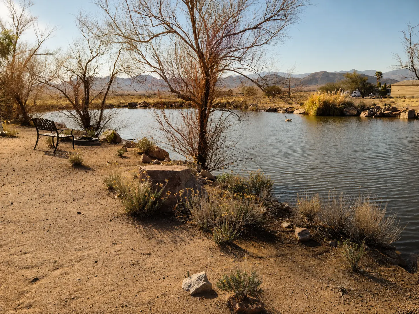 The pond on the Quail Rock property with desert trees and mountain views