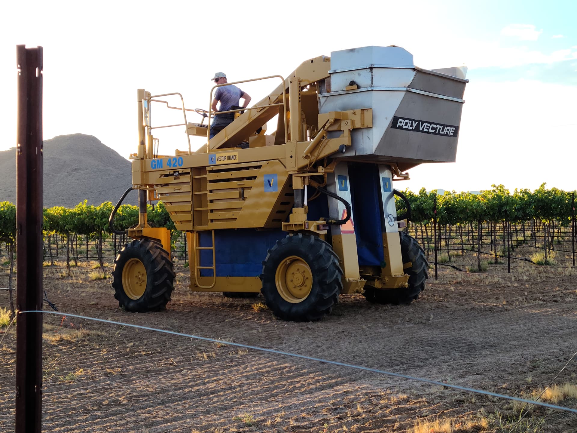 The restored 1988 Vectur GM 420 harvester at sunrise