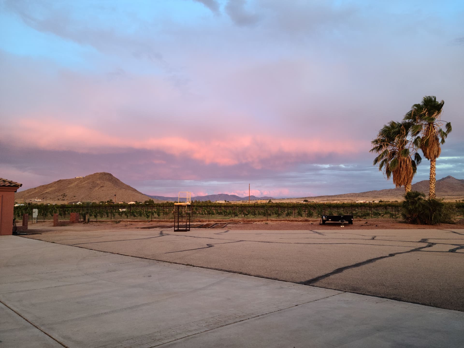 Desert sunset burning over the vineyard