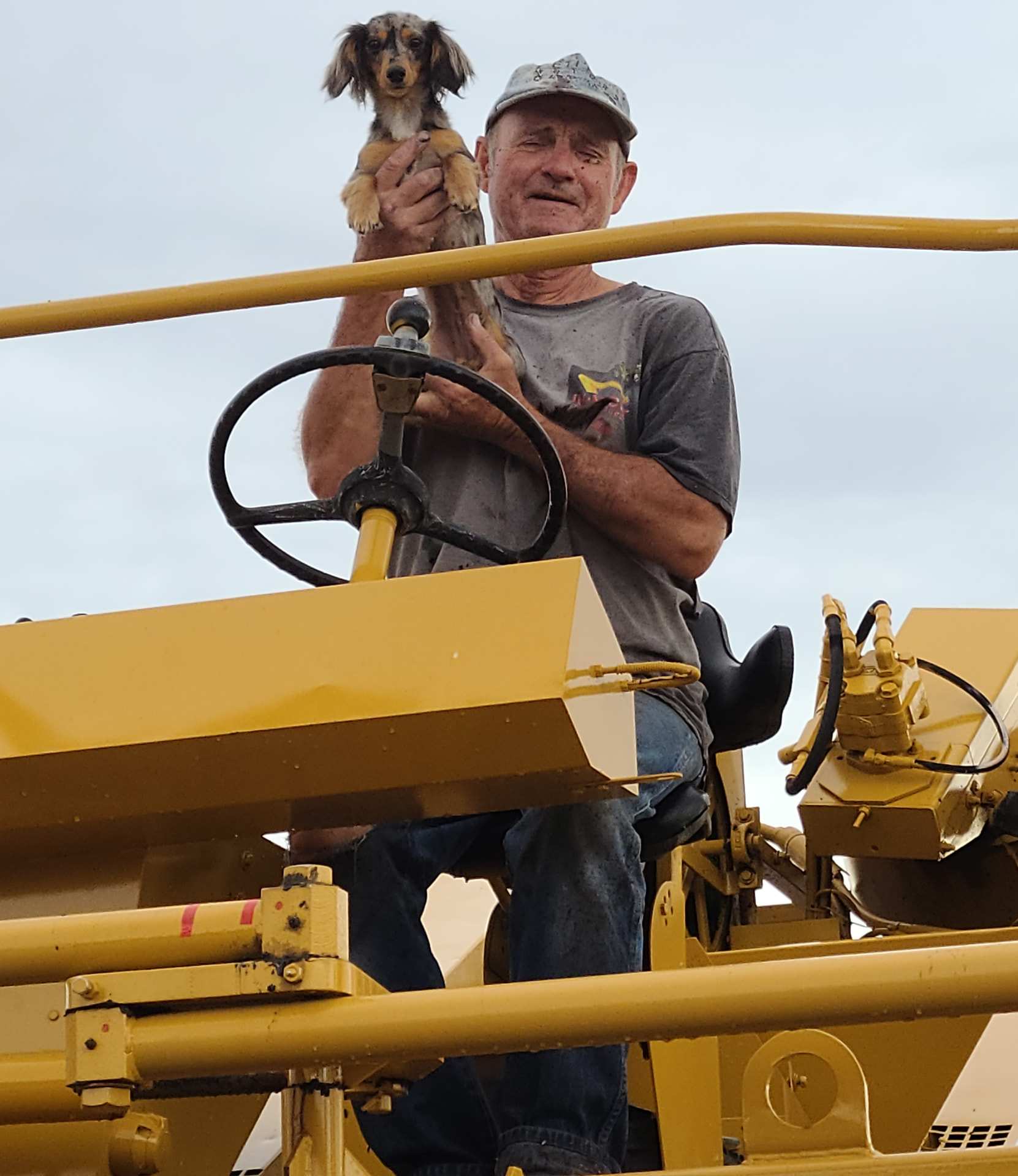 Gary driving the grape harvester with the vineyard dog