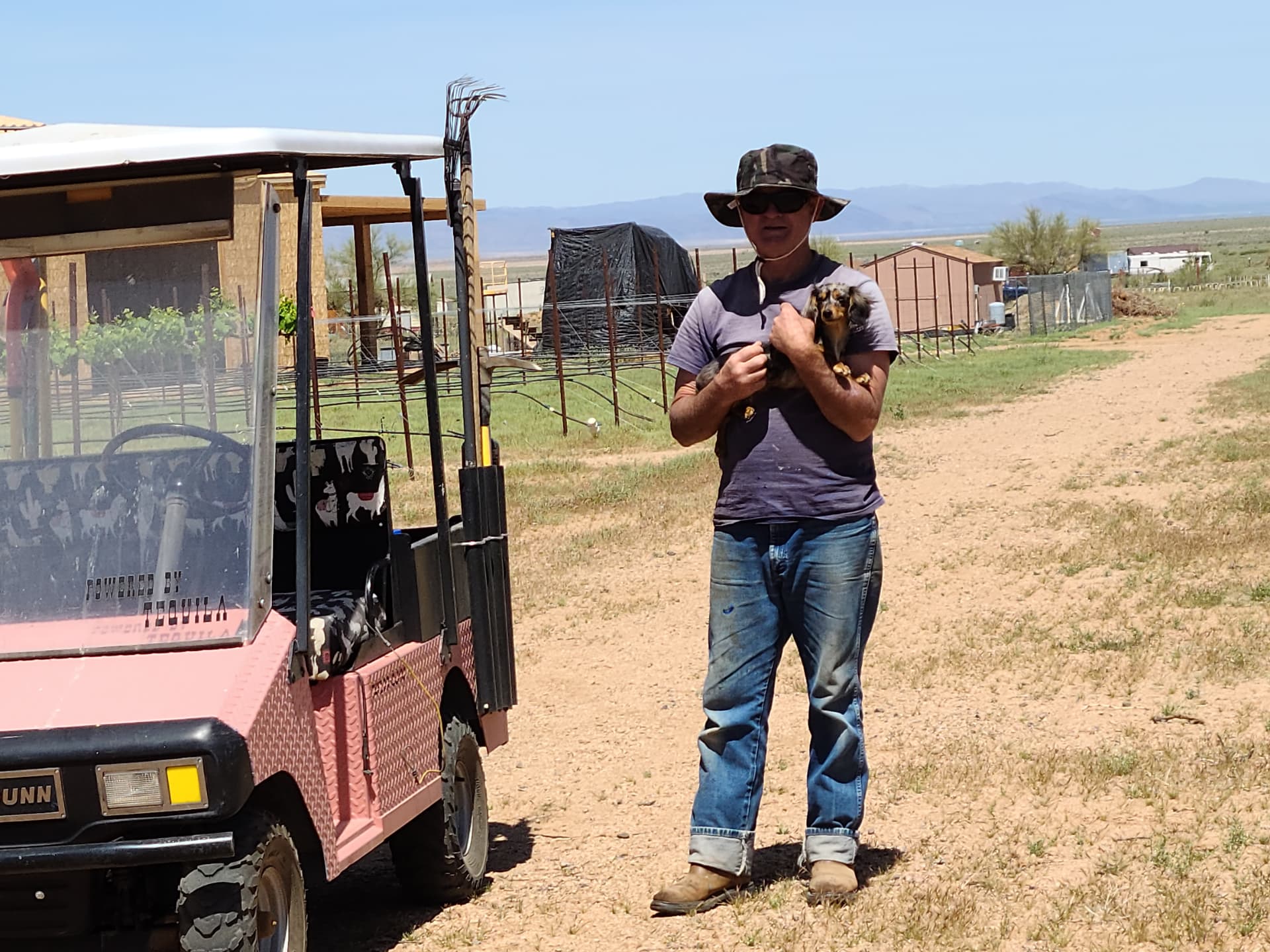A ride through the rows with the shop dog